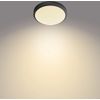 Afbeelding van Philips Doris badkamer plafondlamp - zwart - klein - 6 W