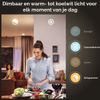 Afbeelding van Philips Hue Kaarslamp Lichtbron E14 - wit en gekleurd licht - 5,2W - Bluetooth