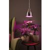 Afbeelding van Paulmann 79765 Neordic Hilla hanglamp max.1x40W E27 ijzer geborsteld 230V metaal