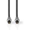 Afbeelding van Nedis Optische Audiokabel - TosLink Male - TosLink Male - 2.50 m - Rond - PVC - Antraciet - Doos