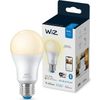 Afbeelding van WiZ Slimme LED-Verlichting E27 Lichtbron - Warmwit Licht - 60W - Mat - Wi-Fi
