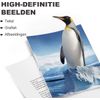 Afbeelding van G&G Canon PGI-550 / CLI-551 XL - Huismerk Inktcartridge - Zwart / Geel / Magenta / Cyaan / Pigment