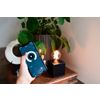 Afbeelding van Calex Slimme Lamp - Wifi LED Filament Verlichting - E27 - Smart Lichtbron Goud- Dimbaar - Warm Wit 