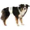 Afbeelding van Trixie Hondenluier Reu - L/XL 12 ST