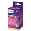 Afbeelding van Philips E27 Lamp Standaard Lichtbron - Warm wit licht - 4,3W