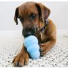 Afbeelding van Kong Puppy - Hondenspeelgoed - Assorti - M