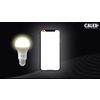 Afbeelding van Calex Slimme Lamp - Wifi LED Filament Verlichting - Globe 9,5cm - E27 - Smart Lichtbron Goud- Dimba