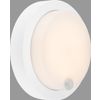 Afbeelding van BRILONER - PULA - LED-buitenwandlamp op batterijen, sensor,