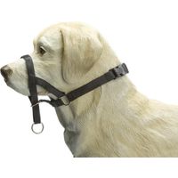 Beeztees Dog Control - Halsband Hond - Zwart - M