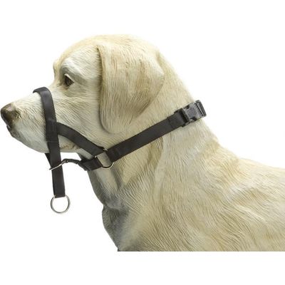 Afbeelding van Beeztees Dog Control - Halsband Hond - Zwart - M