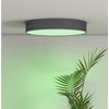 Afbeelding van Calex Slimme Plafondlamp - Smart Plafonnière 40cm - RGB en Warm Wit - Zwart