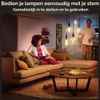 Afbeelding van Philips Hue Filament Lichtbron E27 Globelamp G93 - warm tot koelwit licht - klein - 1-pack - Blueto