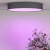 Afbeelding van Calex Slimme Plafondlamp - Smart Plafonnière 40cm - RGB en Warm Wit - Zwart
