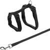 Afbeelding van Trixie tuig voor kat met riem metalen gespen assorti 22-42x1 cm 125 cm