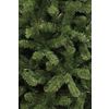 Afbeelding van Black Box Trees Charlton Kunstkerstboom - H155 cm - Groen