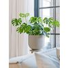 Afbeelding van Ridged Horizontally Cody S Cement