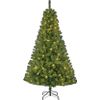 Afbeelding van Black Box Trees Charlton Kunstkerstboom met LED Verlichting - H185 x Ø115 cm - Groen