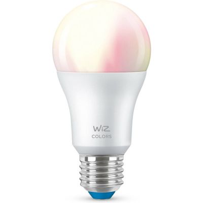 Afbeelding van WiZ Lamp Slimme LED Verlichting E27 Lichtbron - Gekleurd en Wit Licht - 60W - Mat - WiFi
