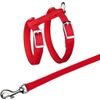 Afbeelding van Trixie tuig voor kat met riem metalen gespen assorti 22-42x1 cm 125 cm