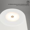 Afbeelding van Briloner Leuchten KIHI Oplaadbare LED tafellamp 3,5W 3-traps dimmer Touch oplaadbare batterij wit