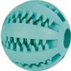 Afbeelding van Trixie Denta Fun Bal Rubber Muntsmaak Afbeelding van Trixie Denta Fun Bal Rubber Muntsmaak