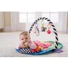 Afbeelding van Lamaze Freddie de Vuurvlieg 3-in-1 Speelgym
