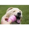 Afbeelding van Kong Puppy - Hondenspeelgoed - Assorti - M
