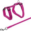Afbeelding van Trixie tuig voor kat met riem metalen gespen assorti 22-42x1 cm 125 cm