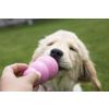Afbeelding van Kong Puppy - Hondenspeelgoed - Assorti - M