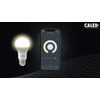 Afbeelding van Calex Slimme Lamp - Wifi LED Verlichting - E14 - Smart Lichtbron - Dimbaar - RGB en Warm Wit licht 