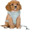 Afbeelding van Trixie Hondentuig Junior Puppy Softtuig Met Riem Mintgroen - 36-50X1 CM / 2 MTR