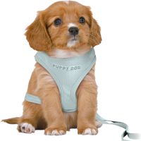 Trixie Hondentuig Junior Puppy Softtuig Met Riem Mintgroen - 36-50X1 CM / 2 MTR