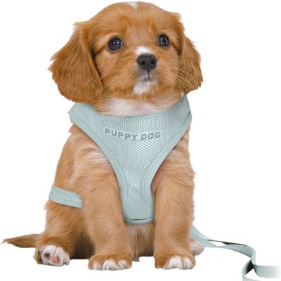Afbeelding van Trixie Hondentuig Junior Puppy Softtuig Met Riem Mintgroen - 36-50X1 CM / 2 MTR