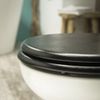 Afbeelding van Tiger Leatherlook - Toiletbril - WC bril - MDF - Zwart