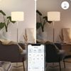 Afbeelding van WiZ Slimme LED-Verlichting E27 Lichtbron - Warmwit Licht - 60W - Mat - Wi-Fi