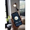 Afbeelding van Calex Slimme Lamp - Wifi LED Filament Verlichting - E27 - Smart Lichtbron Helder - Dimbaar - Warm W