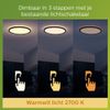 Afbeelding van Philips SuperSlim SceneSwitch plafondlamp - zwart - 15W - IP54