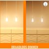 Afbeelding van WiZ Edison Filament - Slimme LED-verlichting - Gekleurd en Wit licht - E27 - 40W - Transparant - Wi