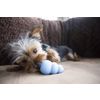 Afbeelding van Kong Puppy - Hondenspeelgoed - Assorti - M