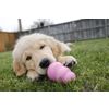 Afbeelding van Kong Puppy - Hondenspeelgoed - Assorti - M