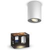 Afbeelding van Philips Hue Pillar opbouwspot - warm tot koelwit licht - 1-spot - wit