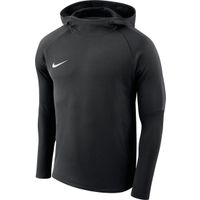 Nike Hoody Academy 18 PO AJ0109-463