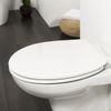 Afbeelding van Tiger Boston - Toiletbril - WC bril - Duroplast - Wit / Chroom