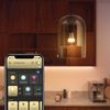Afbeelding van Philips Hue standaardlamp E27 Lichtbron - warm tot koelwitlicht - 1-pack - 1600lm - Bluetooth