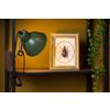 Afbeelding van Lucide MOYS - Klemlamp - 1xE27 - Groen