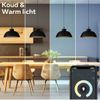 Afbeelding van Calex Slimme Lamp - Set van 2 stuks - Wifi LED Filament Verlichting - E27 - Smart Lichtbron Goud - 