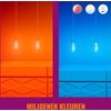 Afbeelding van WiZ Edison Filament - Slimme LED-verlichting - Gekleurd en Wit licht - E27 - 40W - Transparant - Wi