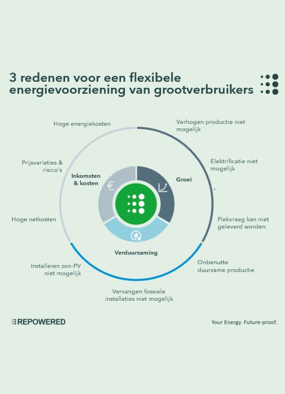 infographic over de 3 redenen voor een flexibele energievoorziening van grootverbruikers