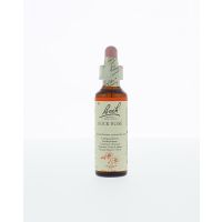 Rock rose / zonneroosje