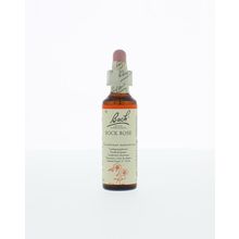 Foto van Rock rose / zonneroosje